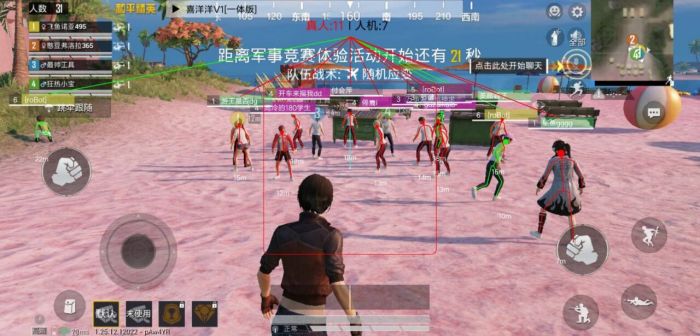 和平精英辅助购买地址怎么填（和平精英购买点券要密码怎么办）